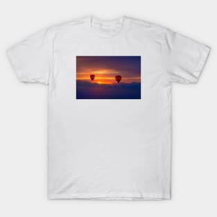 Soaring above the Desert T-Shirt